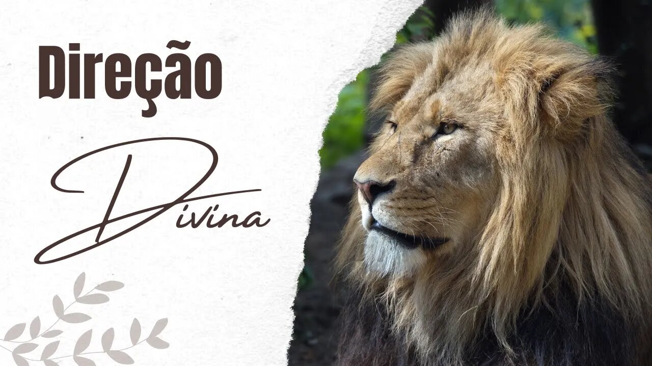 DIREÇÃO DIVINA