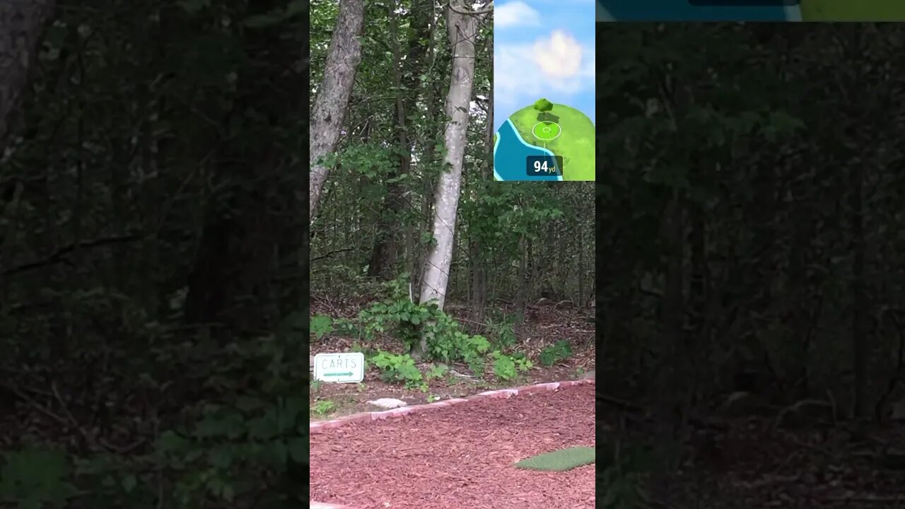 Hole 14 - Pease GC (Original) #Shorts #Golf #GarminR10 #Golfing #Golfer #SimGolf #YoutubeShorts