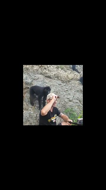 It's Right Behind You!! 😱 #monkey #monkeys