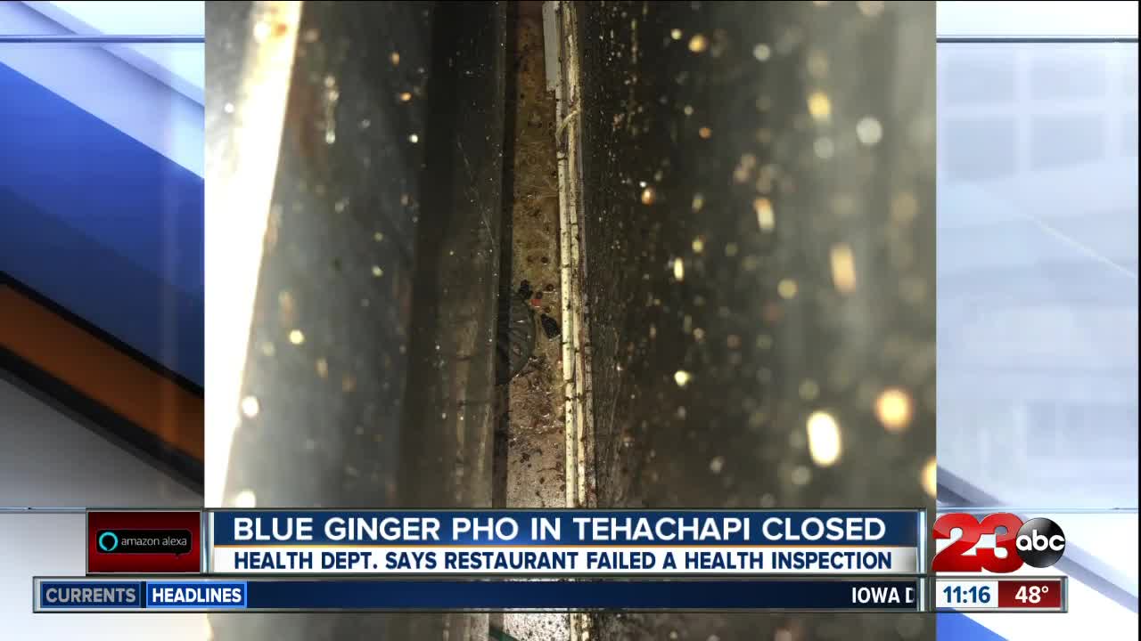 Blue Ginger Pho closed due to failed health inspection