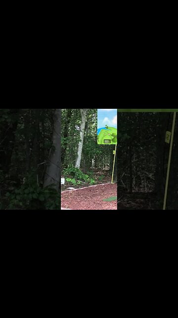 Winter Pines Golf Course - Hole 2 #Shorts #Golf #Golfing #Golfer #SimGolf #GarminR10 #golfsimulator