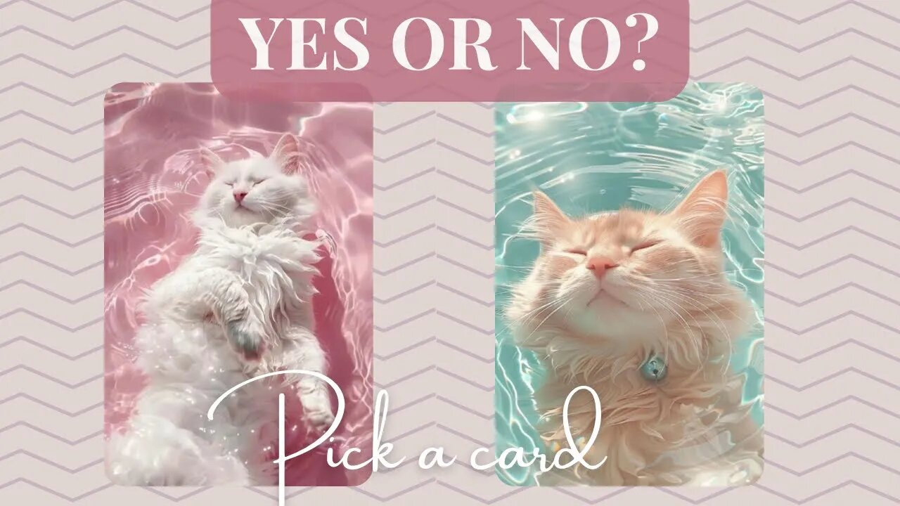 YES OR NO? & Why | Pick a card #tarot