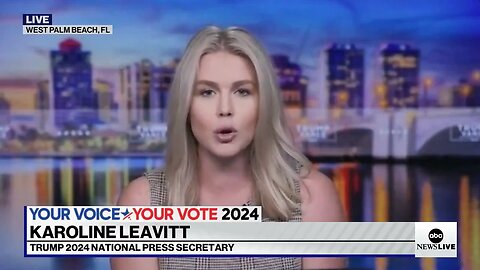 leavittnh COOKS Fake ABC host who tried to claim Democrats are the ones against political violence