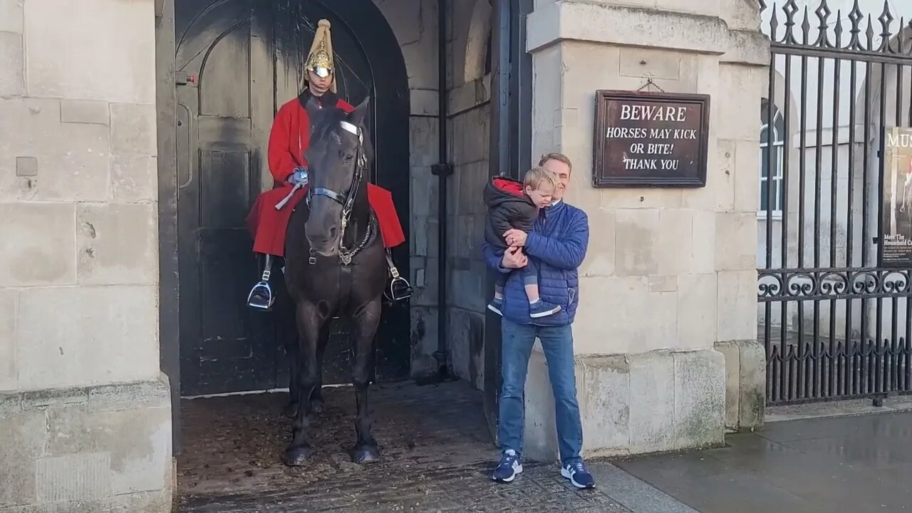 Lucky the kid did not biten #horseguardsparade