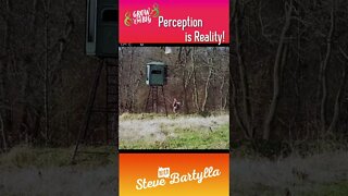 Perception is Reality #shorts #deer #deerhunting