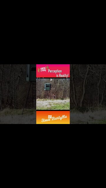 Perception is Reality #shorts #deer #deerhunting