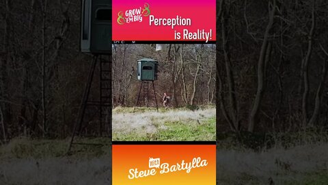 Perception is Reality #shorts #deer #deerhunting