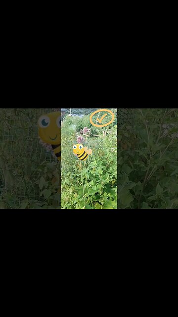 🌺 Stunning Appalachia Flower Hidden in Plain Sight Will Liven Up Your Garden!