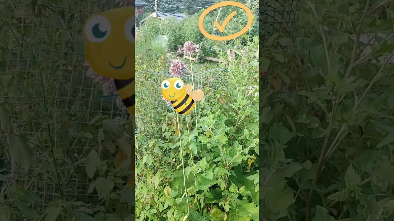 🌺 Stunning Appalachia Flower Hidden in Plain Sight Will Liven Up Your Garden!