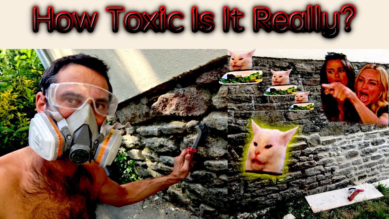 Observations on The Over-Usage of The Word "Toxic" & What Is Rarely Mentioned About It