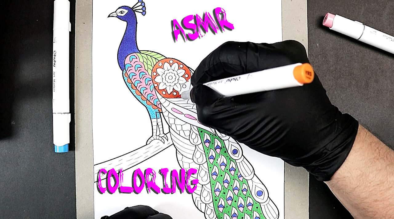 ASMR Coloring Animals - Peacock