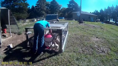 Saturday Morning Roofing and chores
