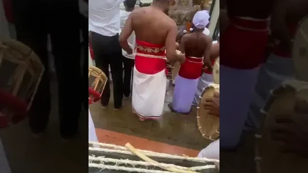 Dalada perahera Kandy Sri Lanka 🇱🇰 Raja tusker #srilanka #kandyesalaperahera #tusker