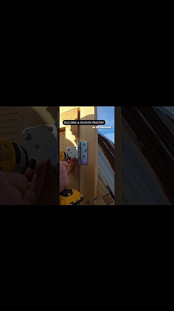 30 Second Build: Indestructible Chicken Tractor {Part 2} #shorts