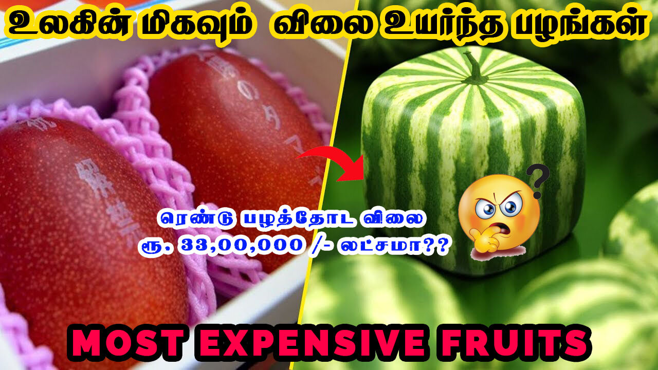 Most EXPENSIVE Fruits In The World