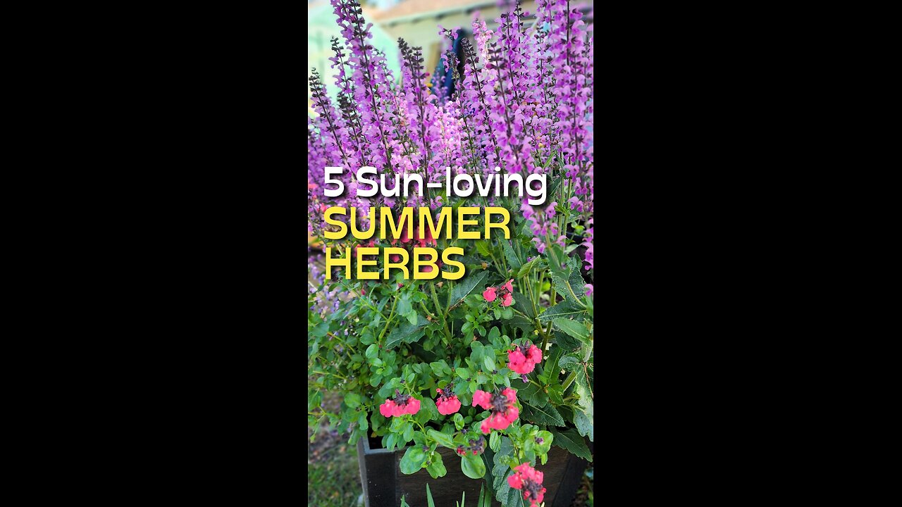 5 Herbs You Should Be Growing This Summer