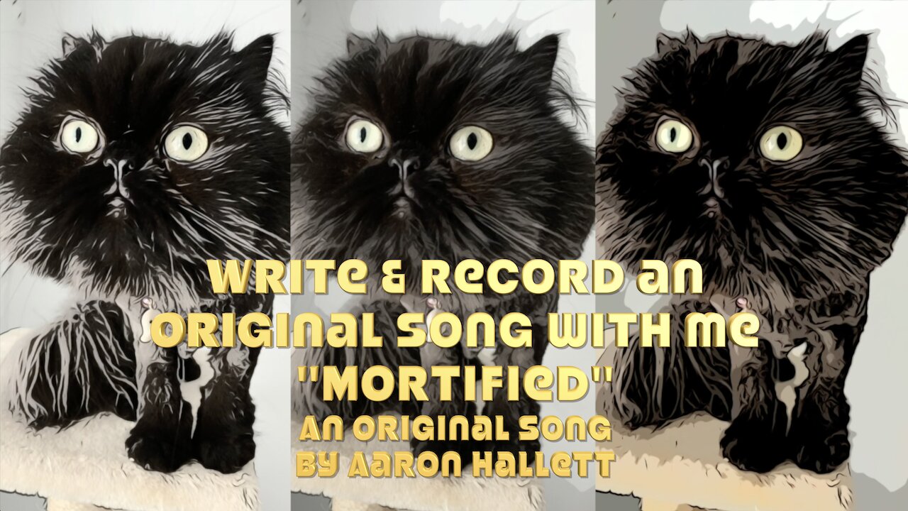 Write & Record an Original Song With Me "Mortified" an Original Song by Aaron Hallett