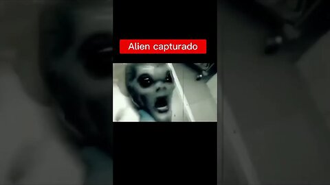 O que você acha?
