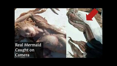 Real Mermaids Caught on Camera