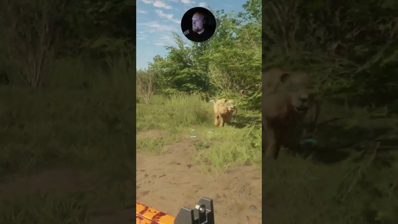 They Fight Back #callofthewild #cotw #game #mrandmrswolfgaming #shorts