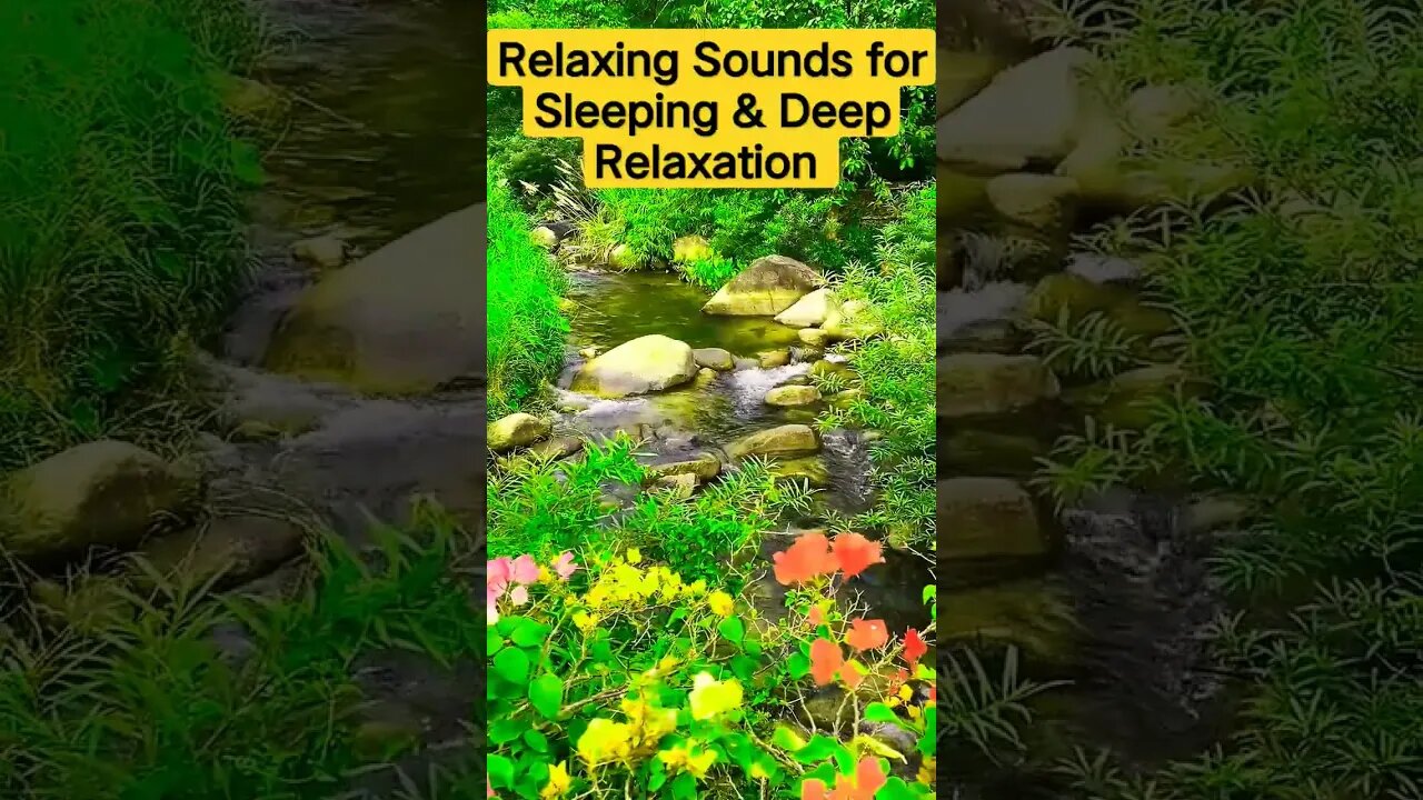 Sounds For Sleeping & Deep Relaxation • #relaxation #watersounds #forestsounds #sleepsounds