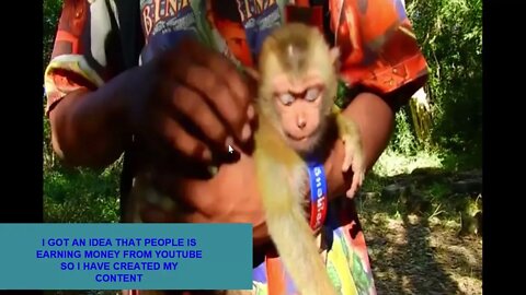 MONKEY LOVER KINDLY WATCH FULL VIDEO AND ACCEPT MY REQUEST