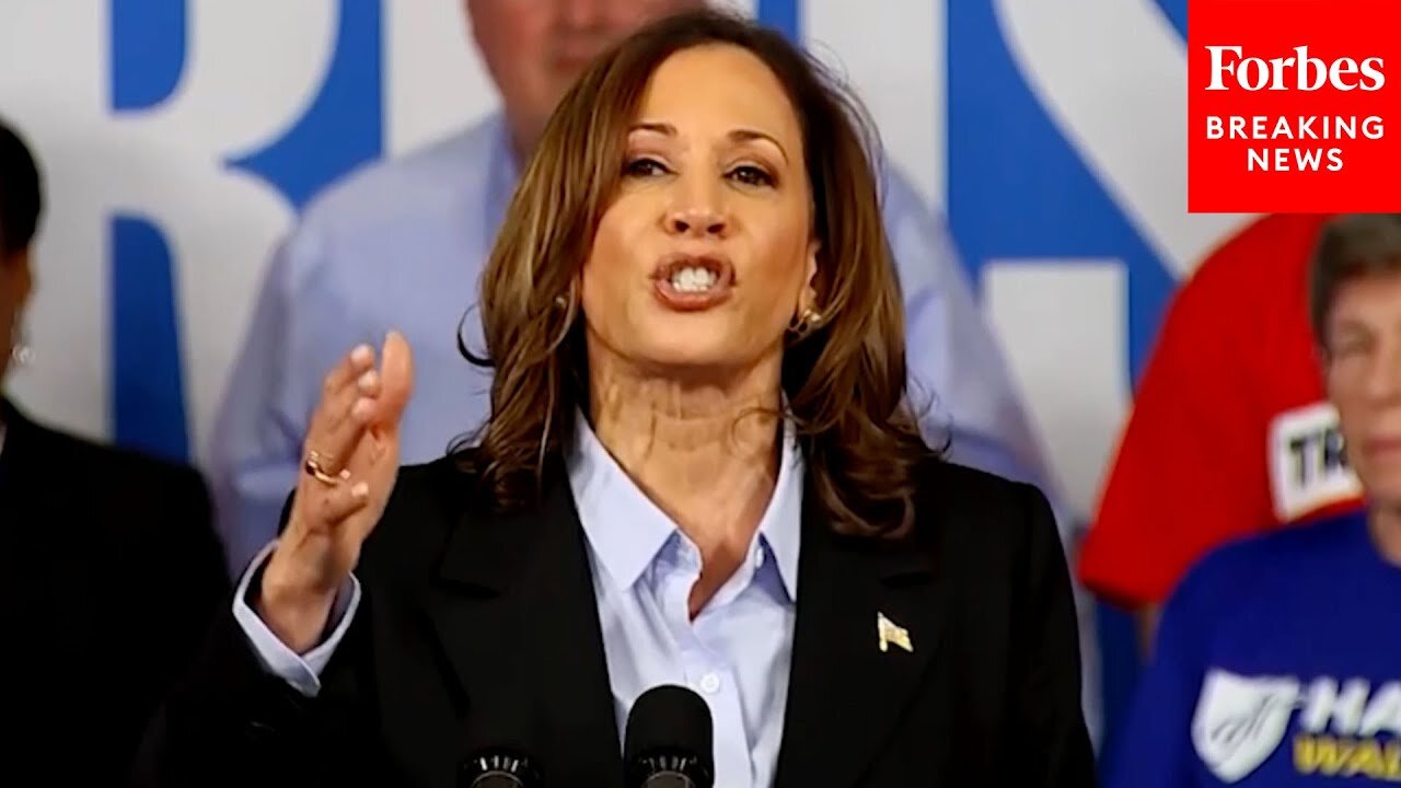 'You Better Thank A Union Member': Kamala Harris Praises Unions At Detroit Campaign Rally