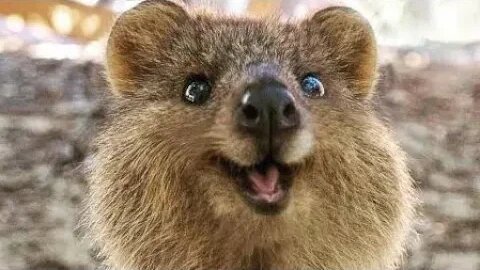 #exposethe28 I See Great Australians Everywhere.