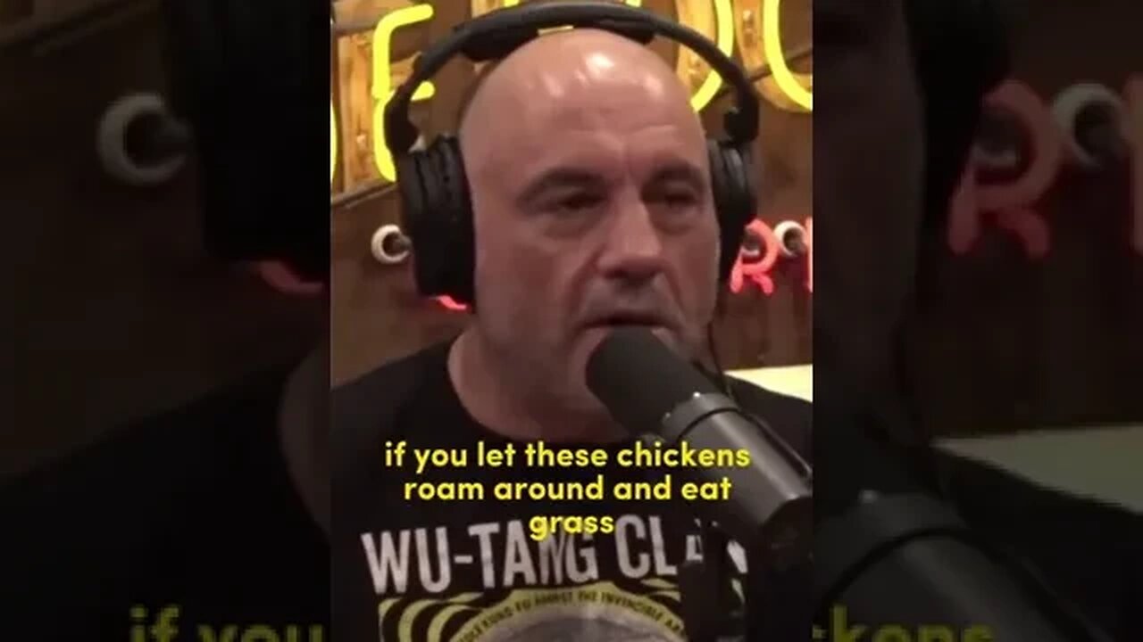 VEGAN AND CHICKEN #jre #jreclips #joerogan