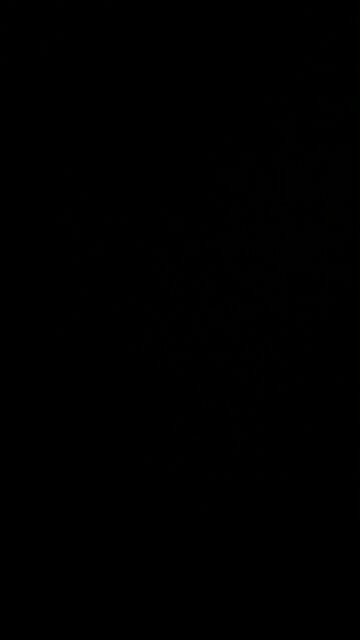 Too many calories in, too few calories out