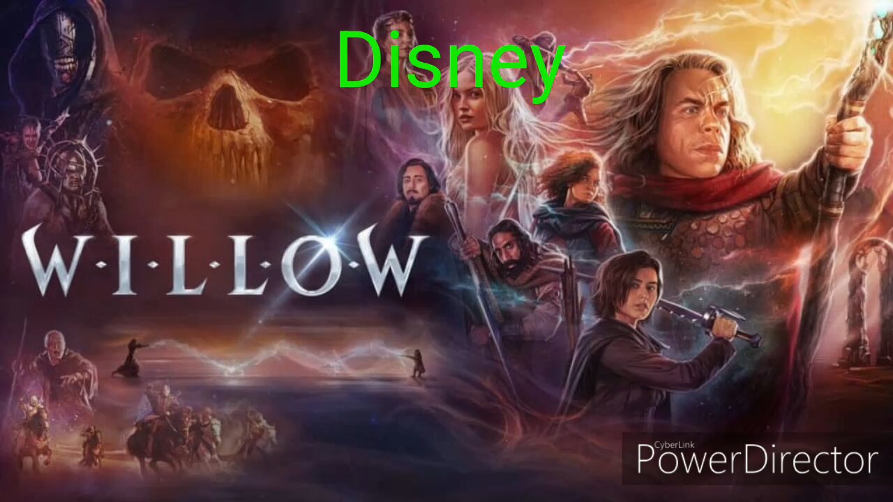 Disney plus Disney Willow