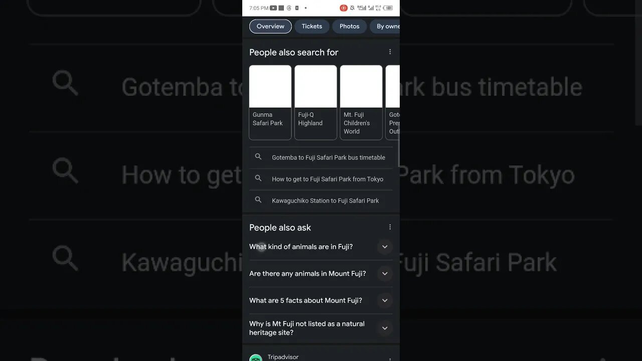 #etsukojunio #etsukofans #fransiscaofficial #teamfransisca #沉连清 #fransisca #fransiscametaworld