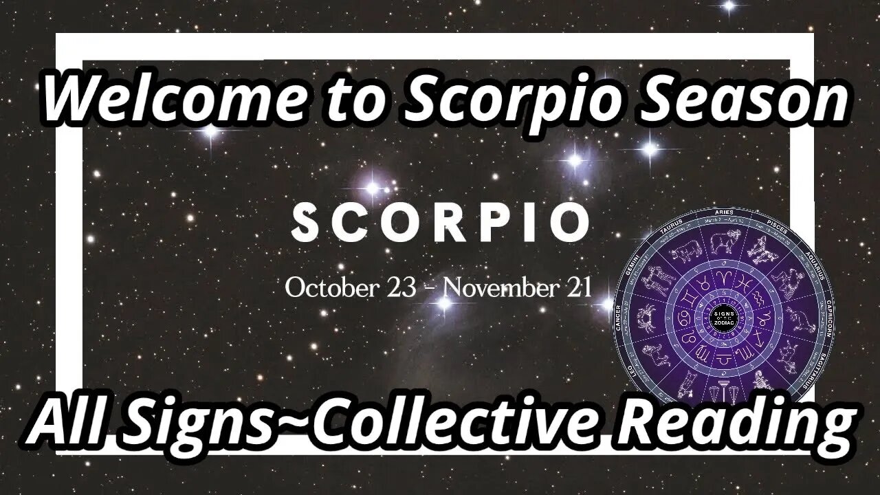 Welcome to Scorpio Season All Signs Collective Energy Reading