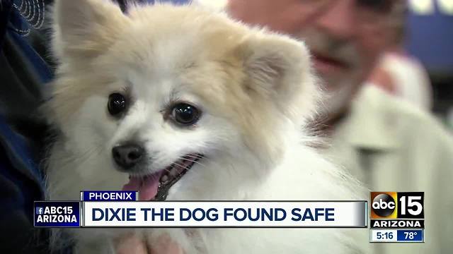 Dixie the pony riding dog has been found safe