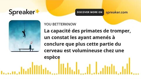 La capacité des primates de tromper, un constat les ayant amenés à conclure que plus cette partie du