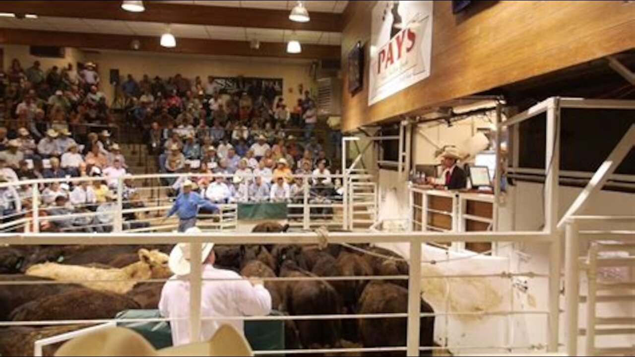 World Champion Auctioneer Brian Curless