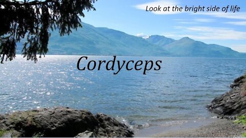 Pierre Capel - Cordyceps (NL)