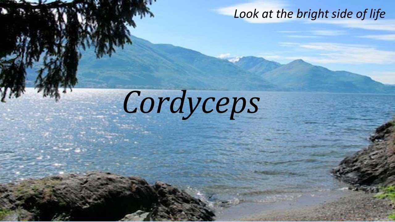 Pierre Capel - Cordyceps (NL)