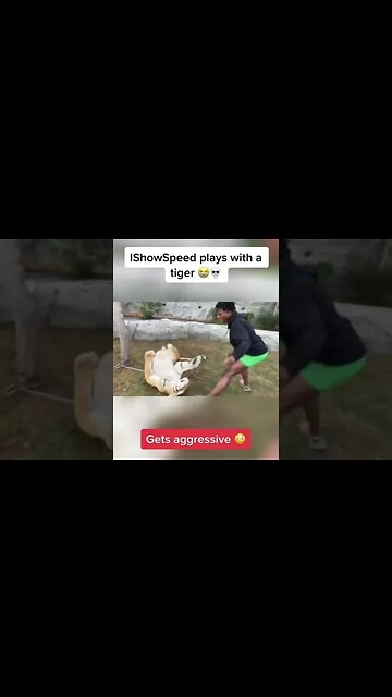 ishowspeed playes with a tiger 🐅 😳 #ishowspeed