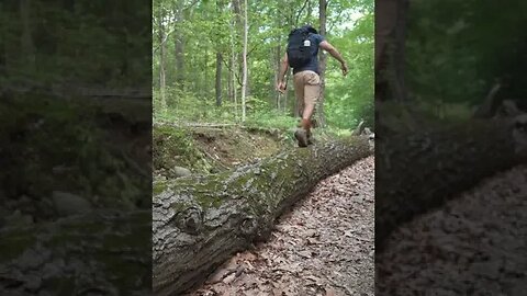 Nature will provide healing. #shorts #outdoors #nature