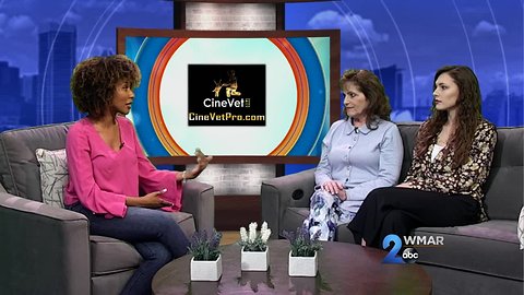 Pet Me with Dr. Karen Hamilton - Pet Check Ups