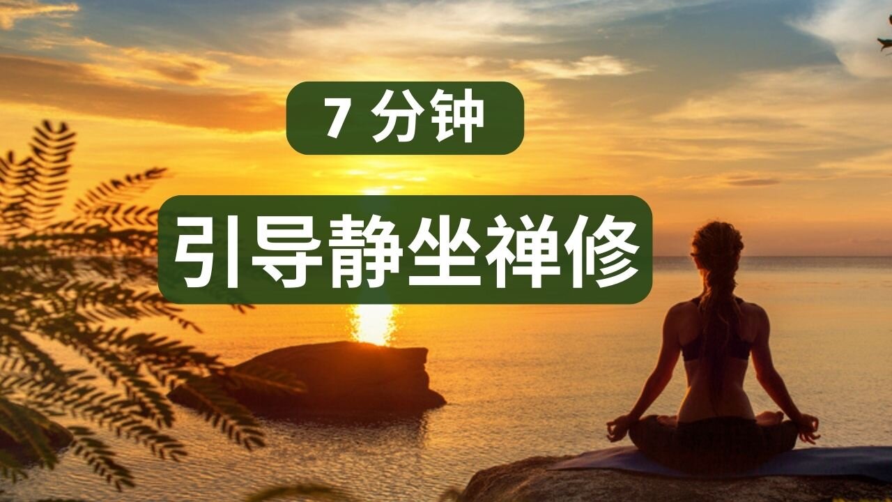 引导静坐禅修 | 2022 01 23 追念禅师 慧严法师静坐引导 | Plum Village 梅村 | Thich Nhat Hanh 一行禅师 | 正念 Mindfulness
