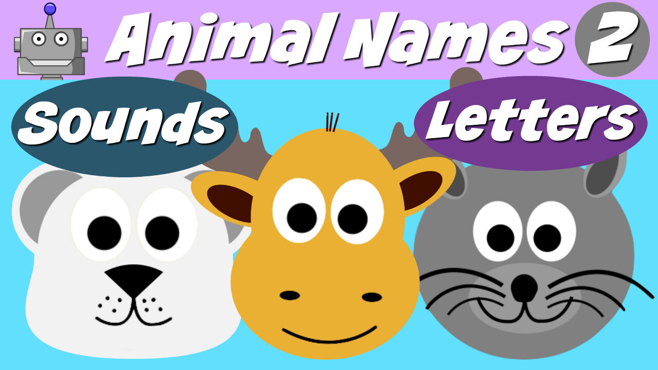 Animal Names 1 - Cat, Koala, Moose, Pig, Rabbit, Panda