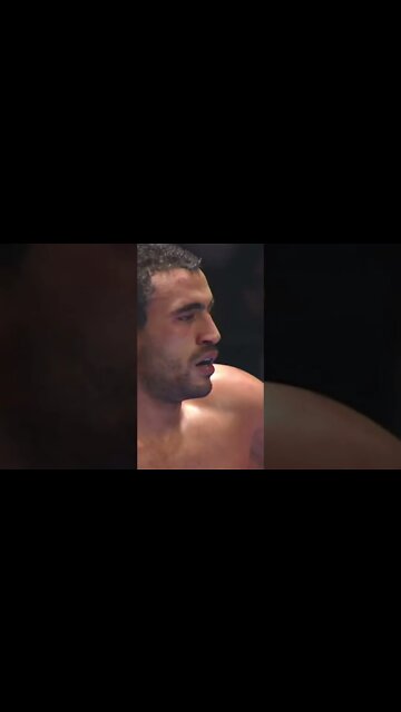 Alistair Overeem vs Badr Hari 2 Highlights