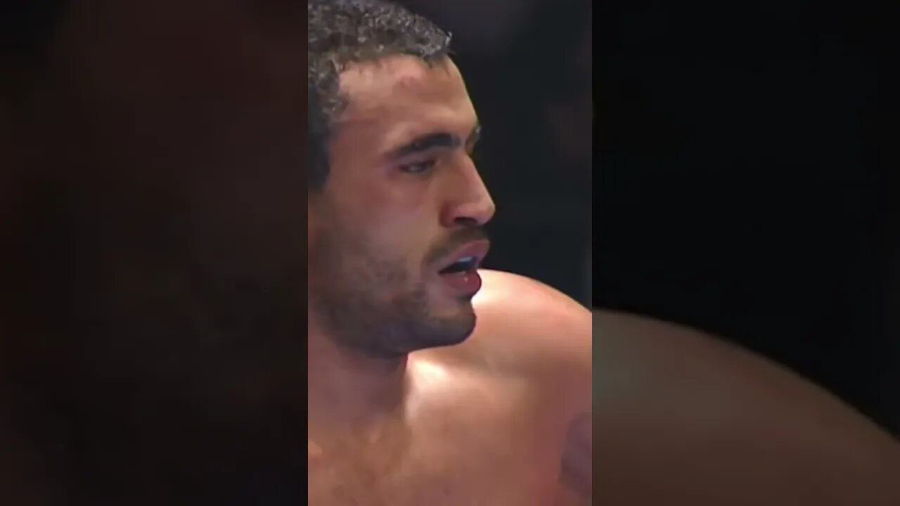 Alistair Overeem vs Badr Hari 2 Highlights