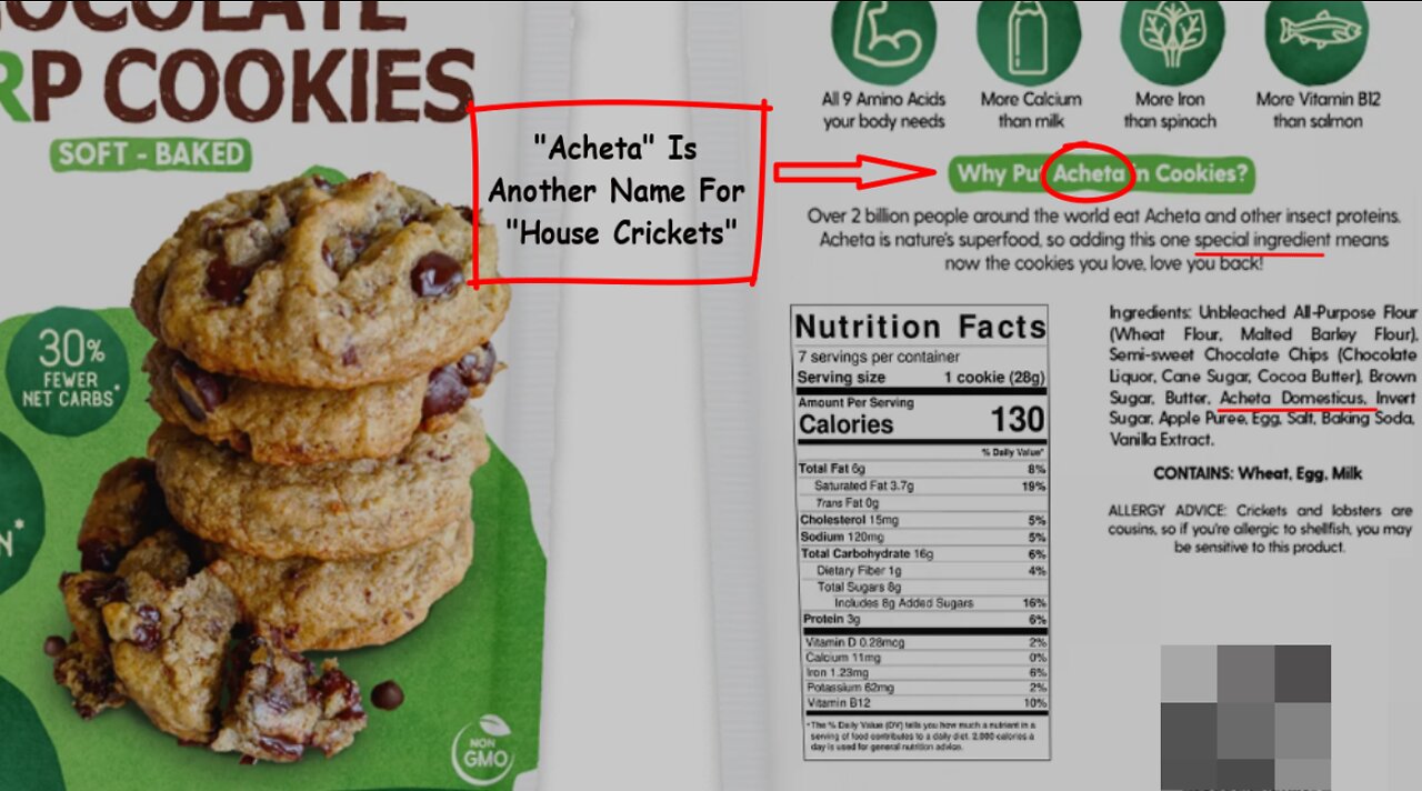 DID YOU KNOW: SOME BIG FOOD COMPANIES ARE ADDING CRICKETS TO COOKIES, SNACKS, & BREAD