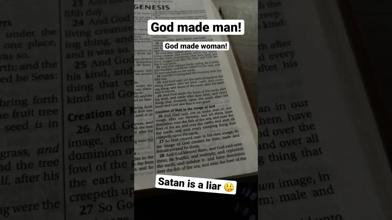 Made in the image of God not a monkey 🙈