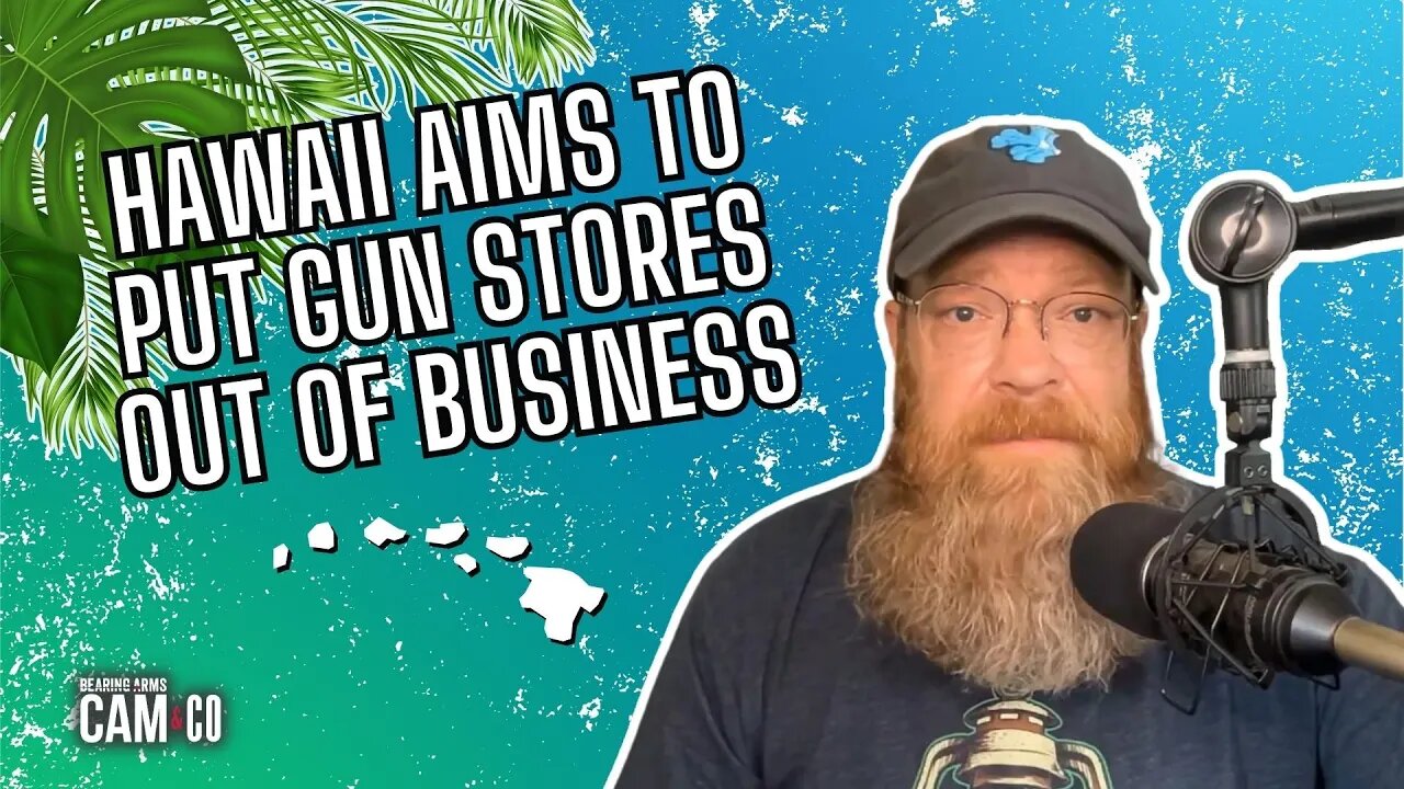 Hawaii's New "Public Nuisance" Law Aims to Put Gun Makers Out of Business