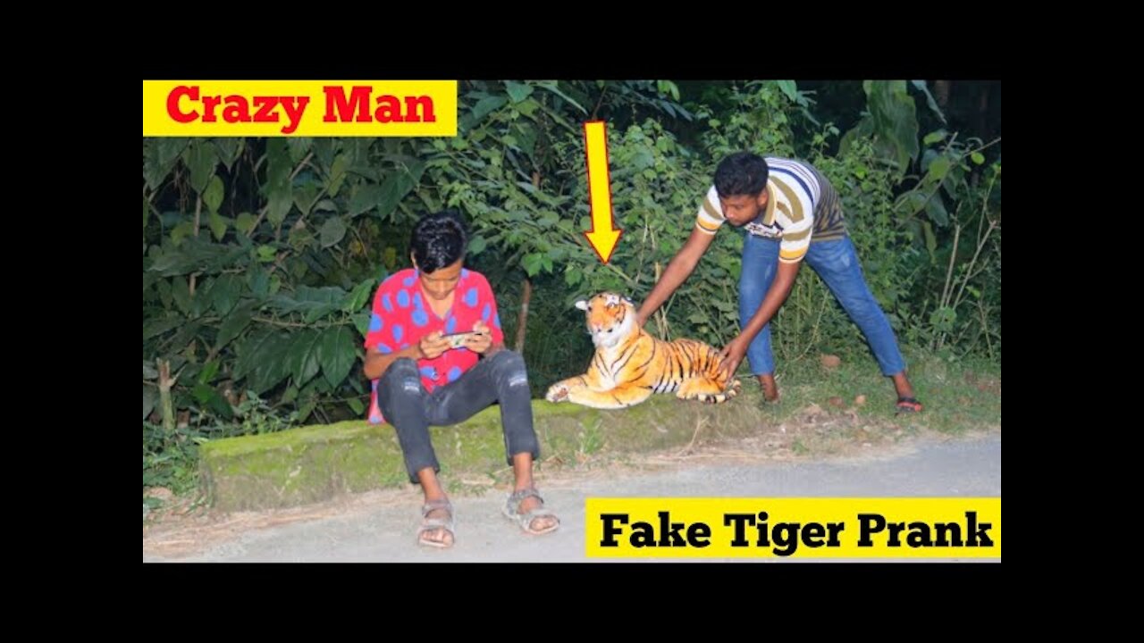 Fake Tiger VS Crazy Man Prank Video !! So Funny Man Reaction With Fake Tiger // @Ting Fun Prank