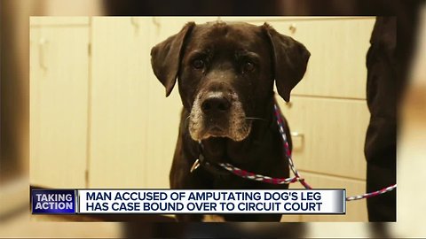 Man accused of amputating dog's leg has case bound over to Circuit Court